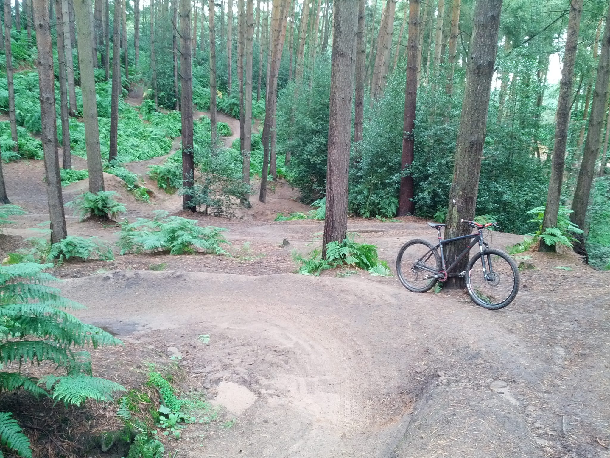 First trip to Woburn Trails Cycle